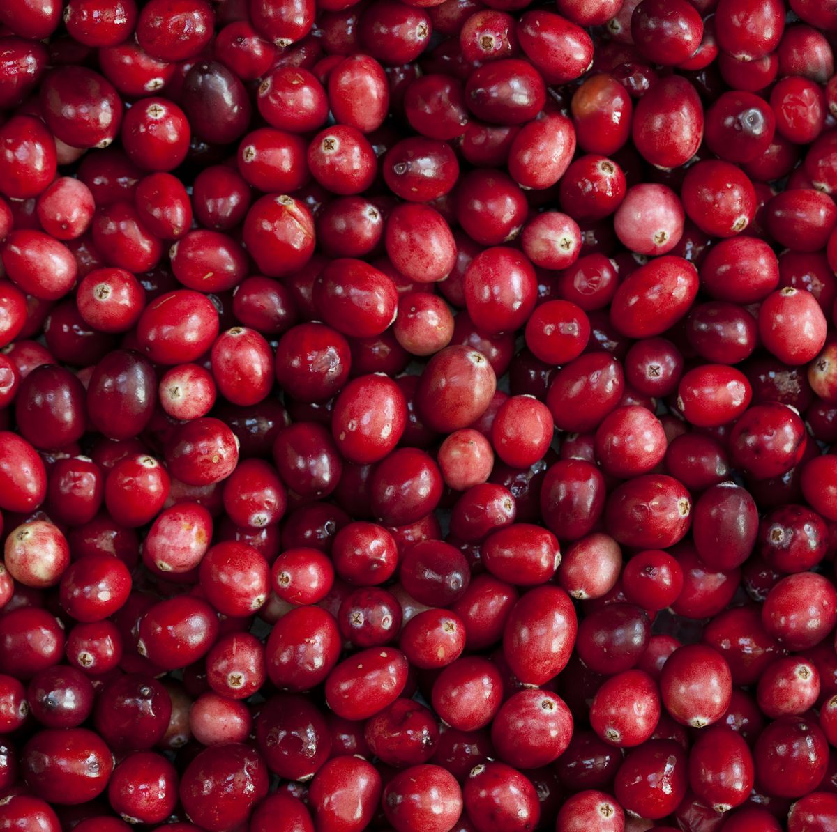 Cranberries