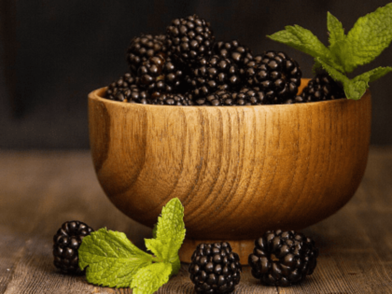 Blackberry Fruit